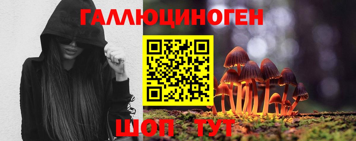 Галлюциногенные грибы Cubensis Миллерово